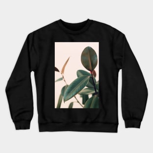 Ficus Elastica #5 Crewneck Sweatshirt